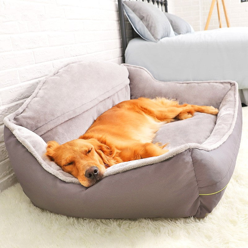 Dog bed & Sofa