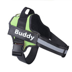 Justerbar hundsele - SafeWalk™