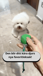 PawMotion – Interaktiv hundleksak med sensorstyrd rörelse