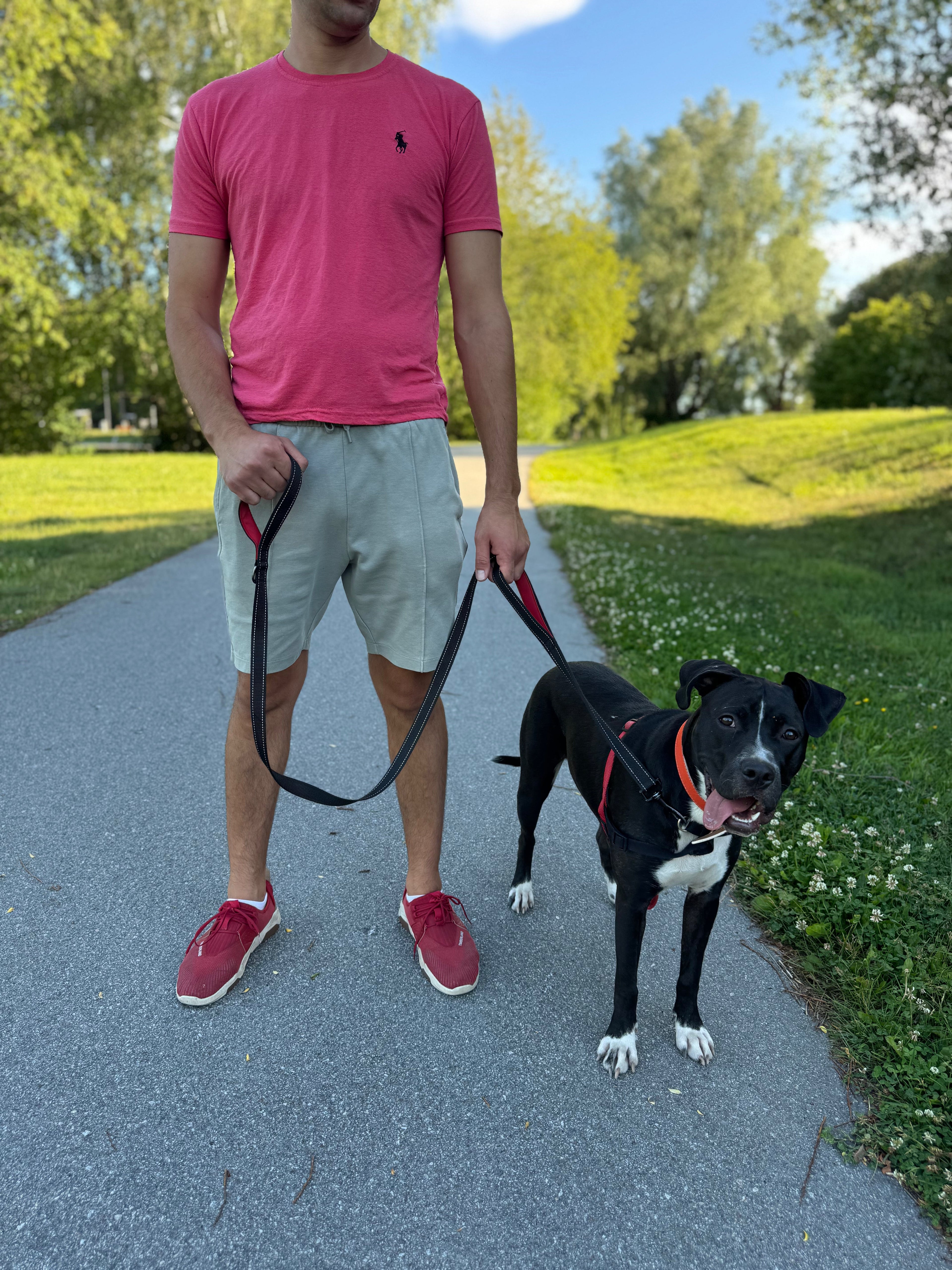 Reflexkoppel med dubbla handtag