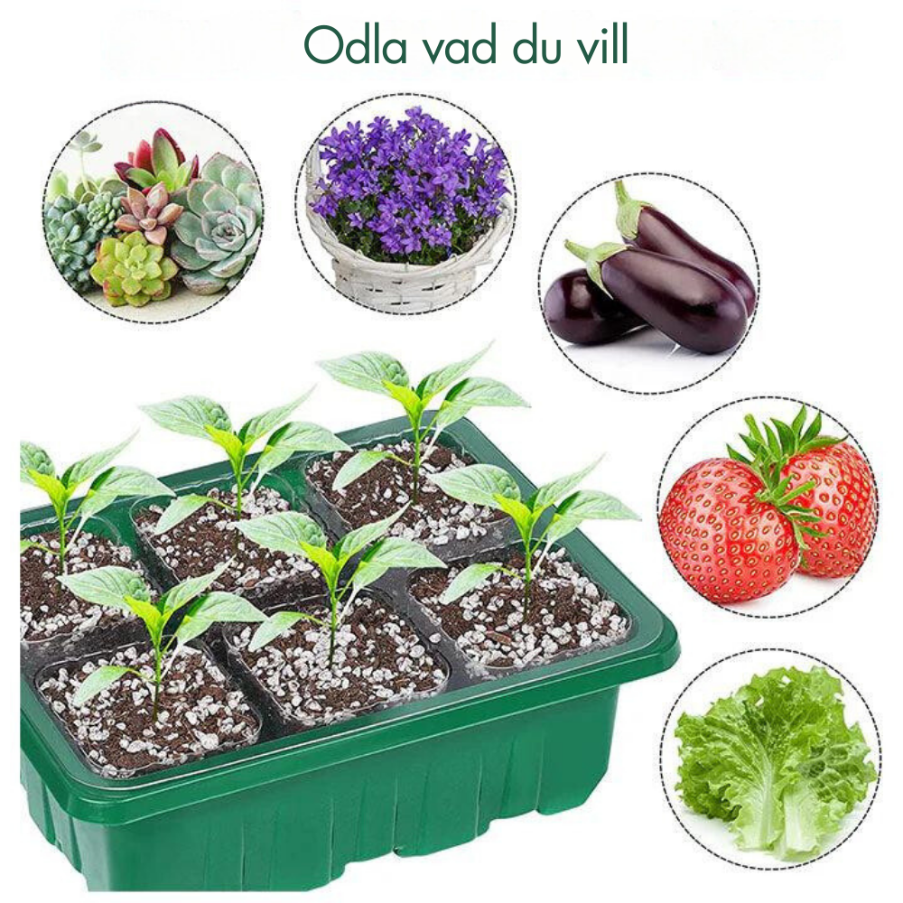 Indoor greenhouse with LED and air circulation