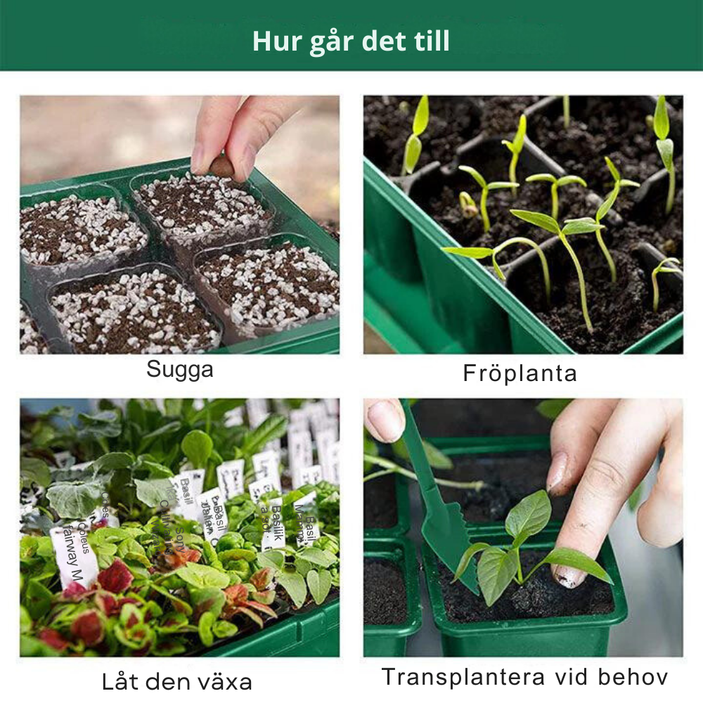 Indoor greenhouse with LED and air circulation
