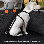 Bilsätesskydd För Husdjur och Passagerare