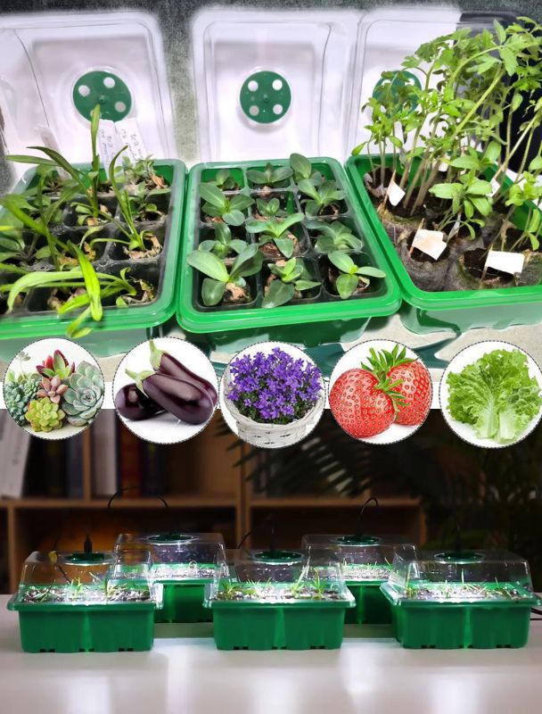 Indoor greenhouse with LED and air circulation