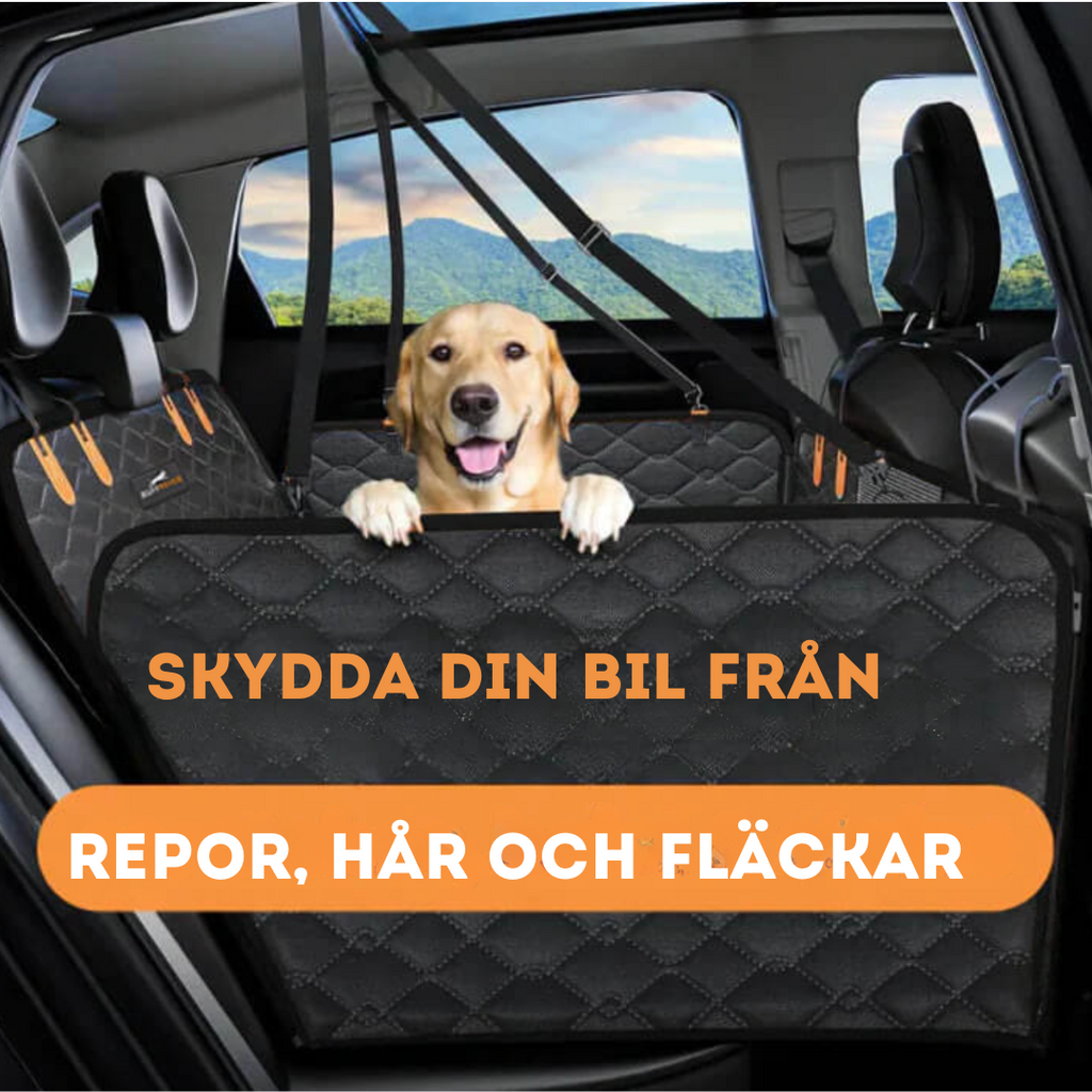 Bilsätesskydd För Husdjur och Passagerare