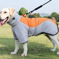 Cotton dog jacket with harness