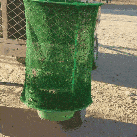 Hanging insect trap – Non-toxic solution for mosquitoes, flies and wasps