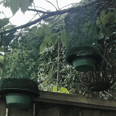 Hanging insect trap – Non-toxic solution for mosquitoes, flies and wasps
