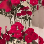 Modulära Glasvaser – Bygg din blomsterstil