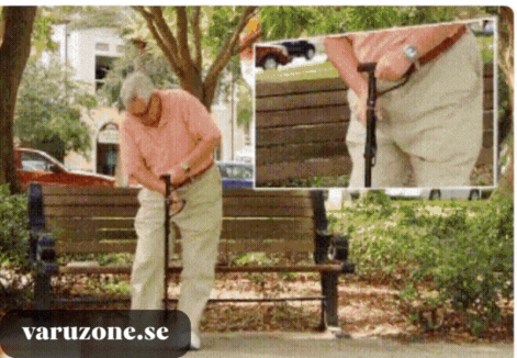 Anti-Fall Support Cane | With LED light, alarm, dual handle & non-slip tip