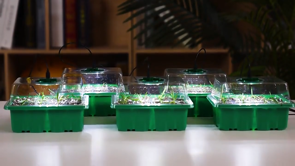 Indoor greenhouse with LED and air circulation